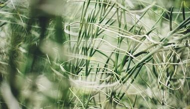 Kaip savo rankomis pasidaryti sėkmės amuletą