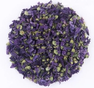 Džiovinti gėlės violetinė